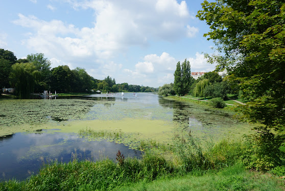 En stor og fredfyldt park på Praga i Warszawa